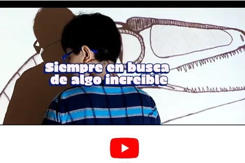 intenciones cumeco